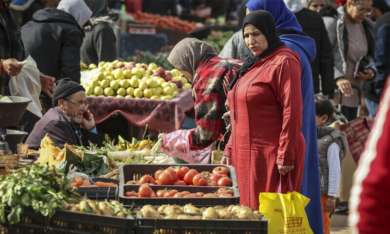 Soaring prices pressure Morocco&rsquo;s agriculture model