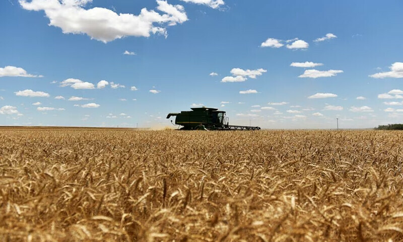 Wheat drops to 21-month low on improved US weather outlook