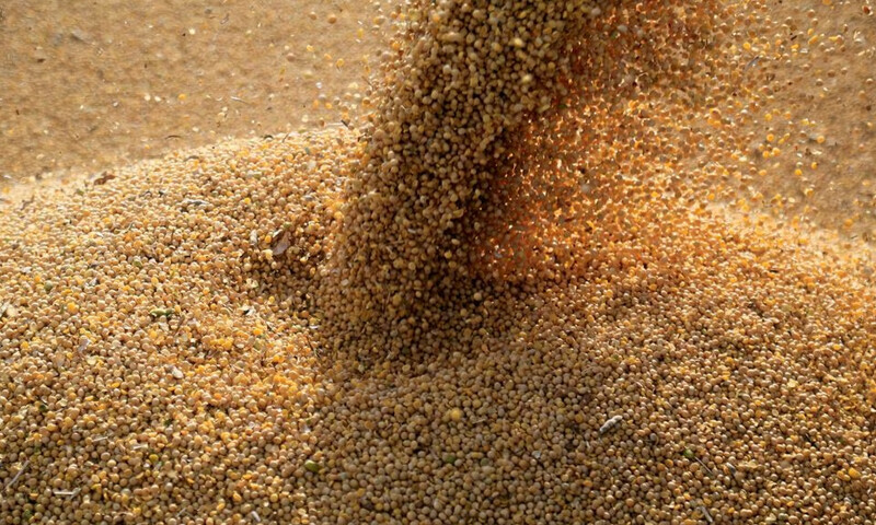 CBOT soybeans may fall into $14.48-1/2 to $14.53-1/4 range