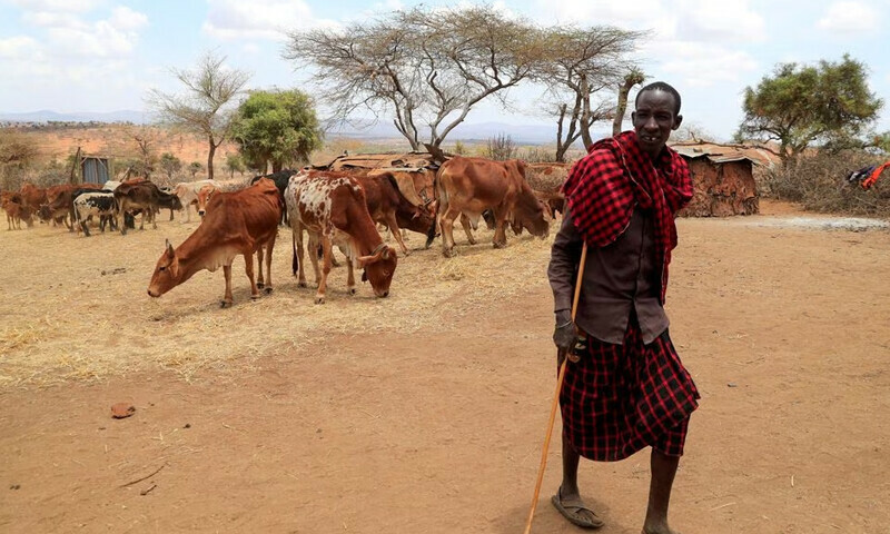 Global warming made Horn of Africa drought possible: report