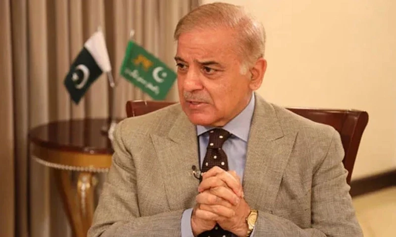 At least 175 MNAs show up for PM as Shehbaz rules out &lsquo;compromise&rsquo;