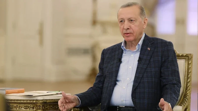 Islamic State leader killed in Syria by Turkish intelligence services: Erdogan