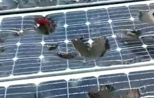 Golf ball-sized hailstones wreak havoc in Balochistan