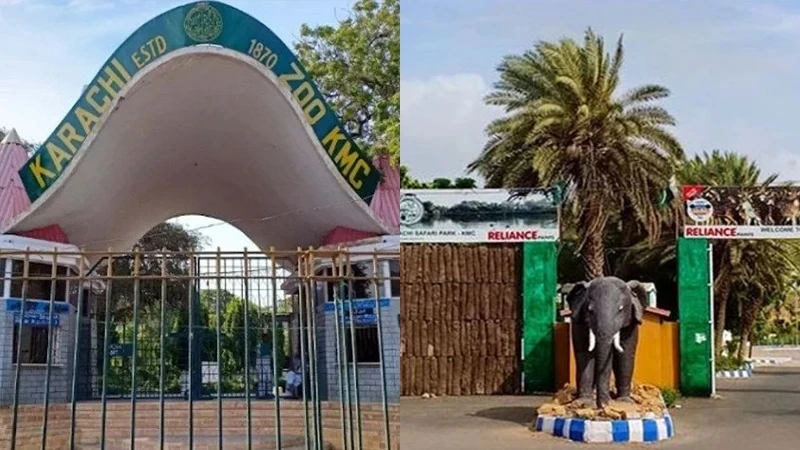 Anti-Corruption cell launches investigation into Karachi Zoo and Safari Park