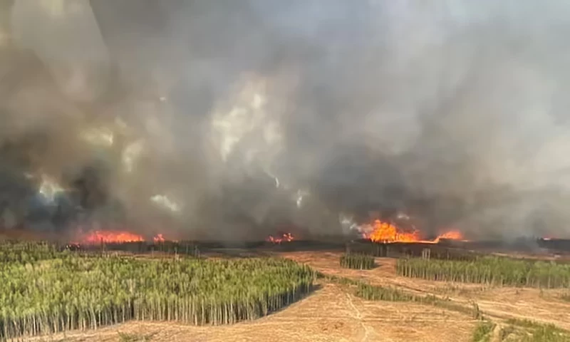 Alberta declares state of emergency over wildfires