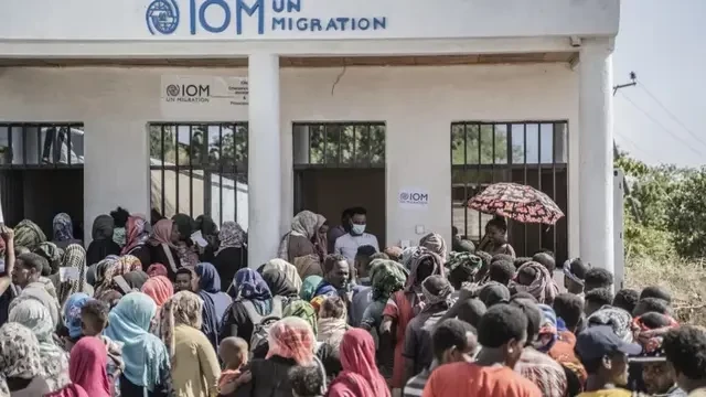 Bitter race for top UN migration job enters home stretch