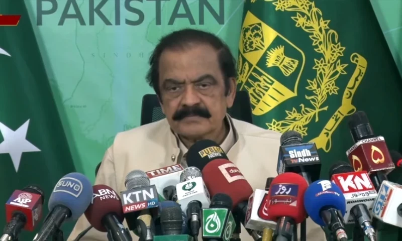 Sanaullah blames judiciary, says banning PTI only option