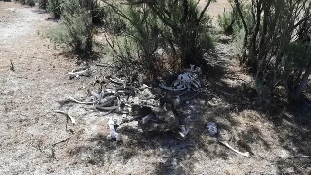 Water woes shake up Spain&rsquo;s election campaign