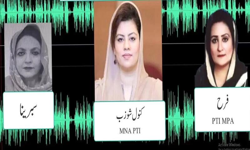 New audio leak reveals PTI&rsquo;s women leadership involvement in attack on GHQ