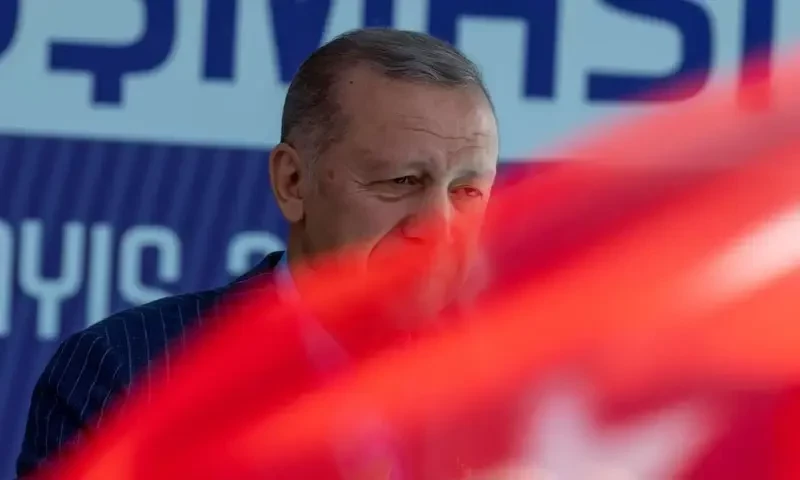 Erdogan re-elected as Turkish president: Turkish state media