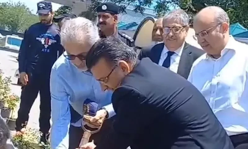 Olive branch? Justices Bandial and Isa plant tree together as rift rumours fly