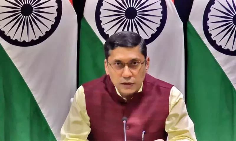 India asks Germany to return 2-year-old Indian girl in foster care