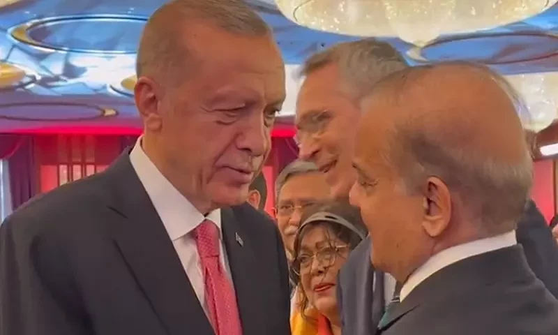 Erdogan thanks Shehbaz for &lsquo;delicious&rsquo; mangoes