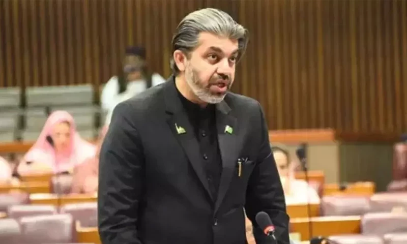 PTI&rsquo;s Ali Muhammad Khan arrested again