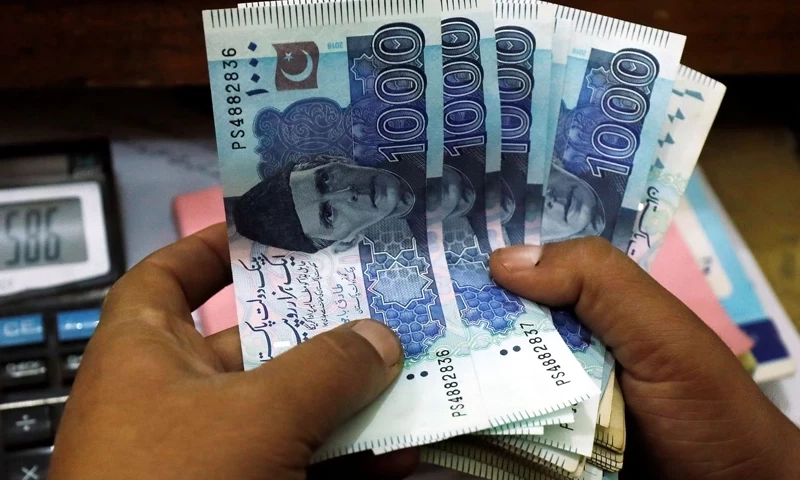 Pakistan to leave 21% policy rate unchanged amid high inflation: analysts