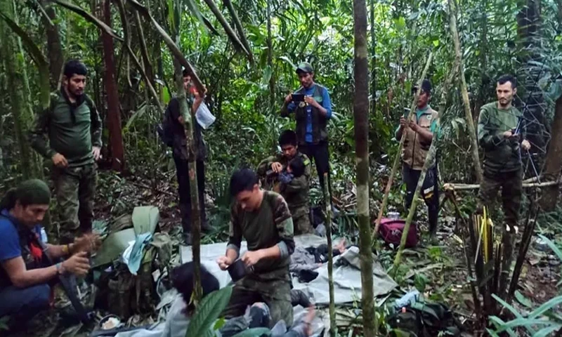 Four Colombian children found alive in jungle weeks after plane crash