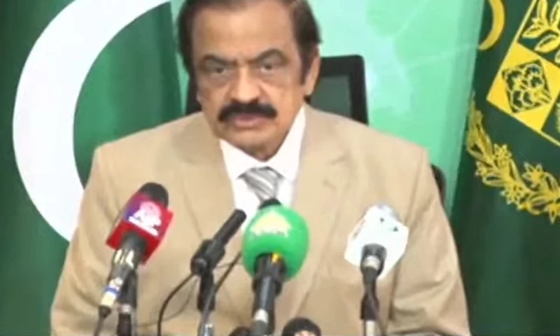 Covid-19 aid was used to fund &lsquo;Tiger Force&rsquo;: Sanaullah