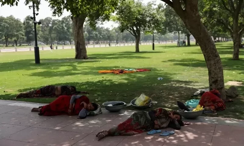 Scores die in northern India as heat wave scorches region
