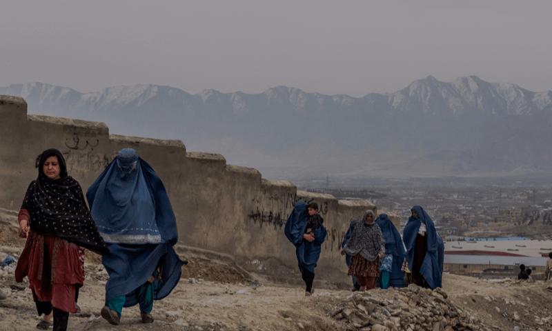 Afghanistan&rsquo;s &lsquo;gender apartheid&rsquo; should be international crime: UN expert