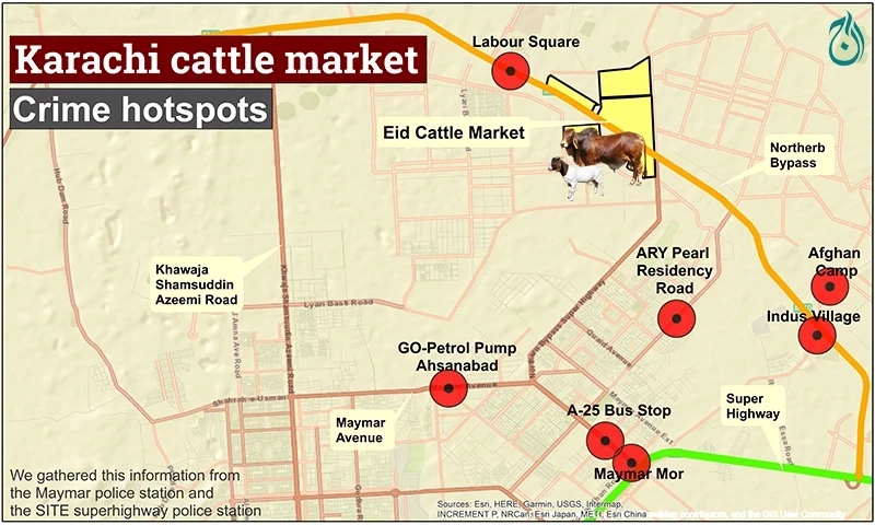 Crime hotspots around Karachi&rsquo;s main cattle market