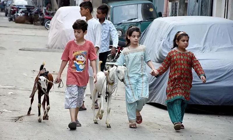 PM Shehbaz extends Eidul Azha holidays