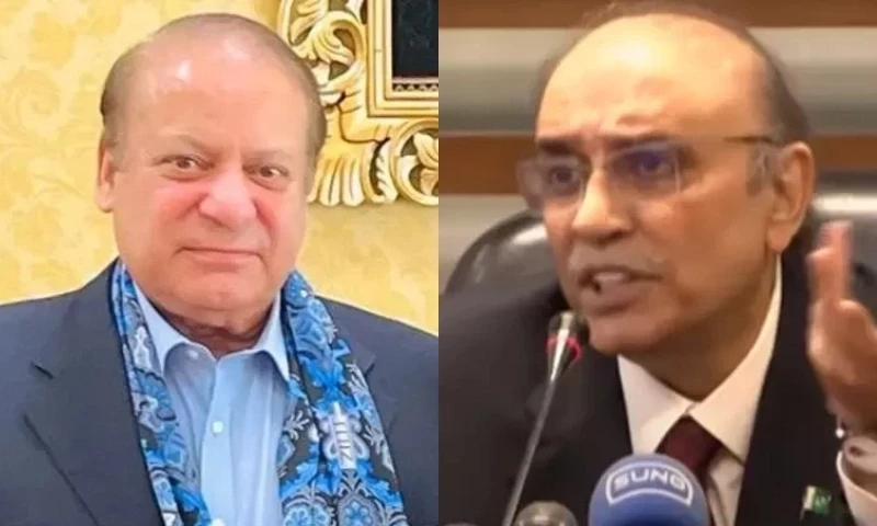 Nawaz, Zardari meet UAE president, prime minister in Dubai