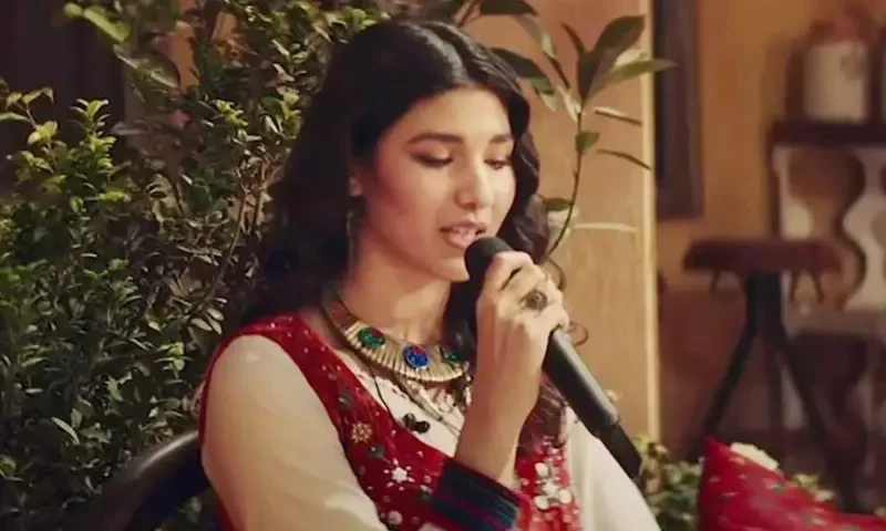 Instead of sending hate, don&rsquo;t listen to it, says Shae Gill on Pasoori Nu