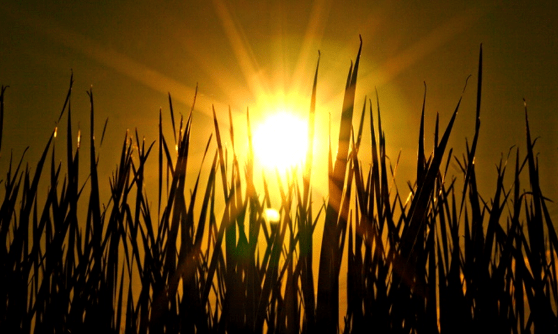 World registers hottest day ever recorded on July 3
