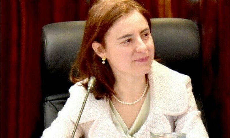 Why is IMF team meeting heads of Pakistani political parties before key decision