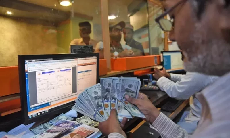 Increased demand for imports resulted in high rates of dollar, say dealers