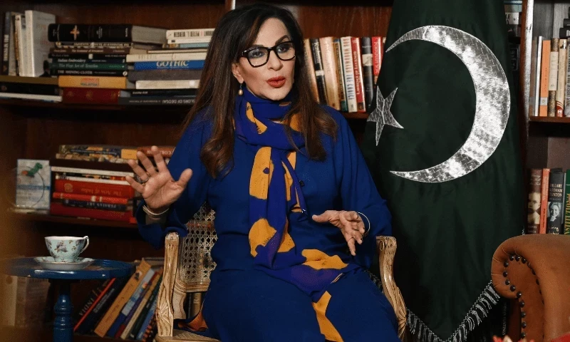 Climate Minister Sherry Rehman against use of AI in newsrooms