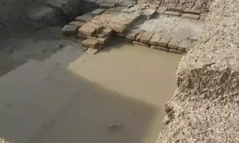 Rainwater damages Mohenjo-Daro archaeological ruins