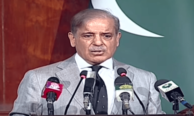 Tried to get army chief to end 2014 dharna: Shehbaz