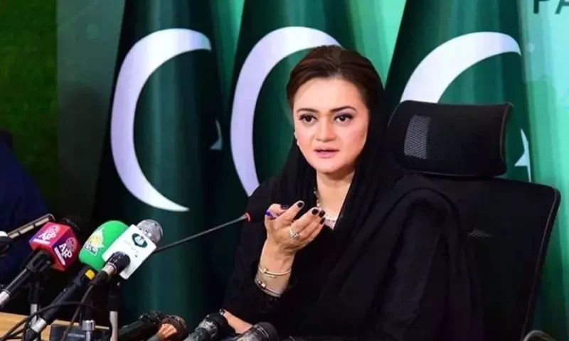 Marriyum rebuts report about Ishaq Dar candidacy for interim PM