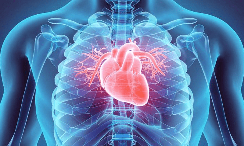 Cardiovascular diseases are considered to be the main cause of death worldwide, experts warn