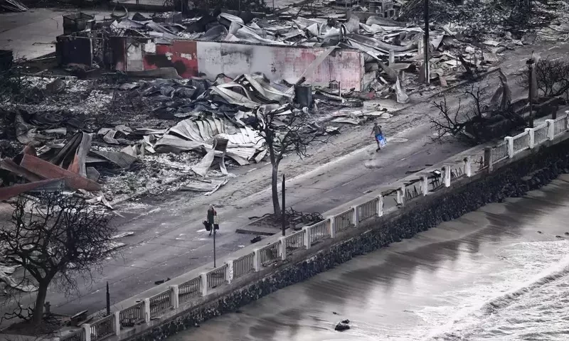 Hawaii fire death toll hits 53, expected to rise