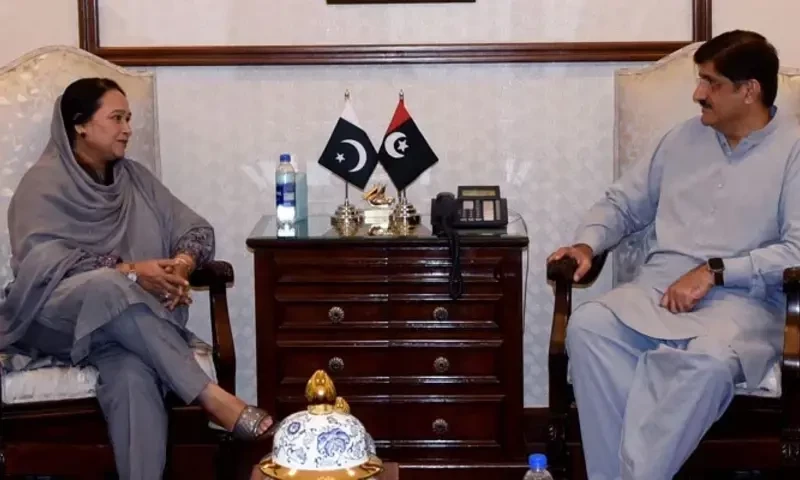 CM Sindh and opposition leader remain undecided on interim setup