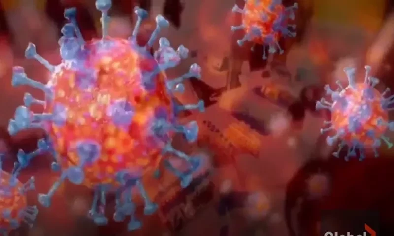 New covid variant reported in several countries including the US, the UK