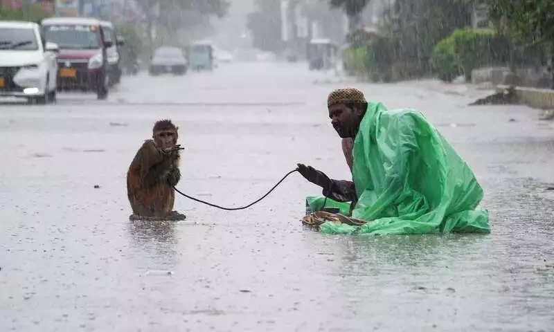 Pakistan likely to receive another spell of monsoon rain from Aug 23