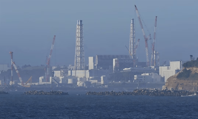 Fukushima wastewater released into the ocean, China bans all Japanese seafood