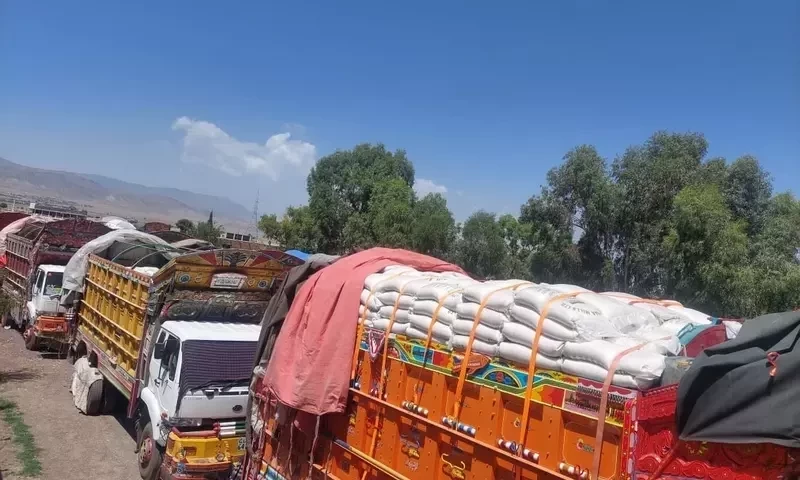 Massive sugar smuggling haul busted as customs sieze 20 trucks en route to Afghanistan
