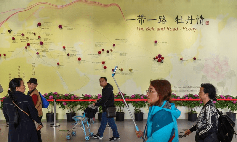 Italy did not get expected results from China Belt and Road deal, Italy foreign minister says