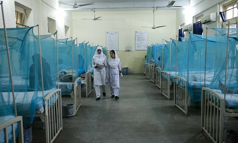 Dengue infects 70 people in Punjab in the last 24 hours