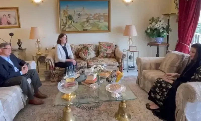 US envoy meets PML-N leader Maryam Nawaz