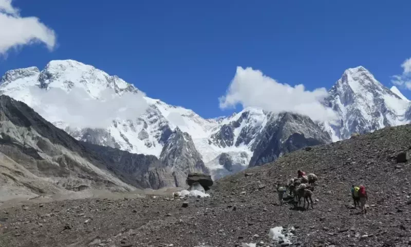 Feted Russian climber feared dead in fall from Pakistan peak