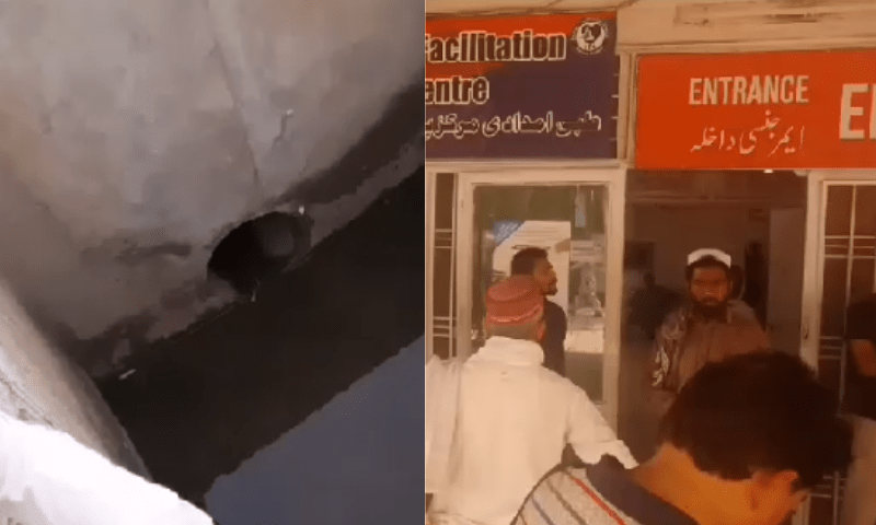 Elderly woman falls to death from cable car