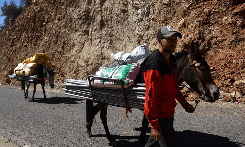 Morocco quake survivors pack donkeys with supplies to reach cut-off villages