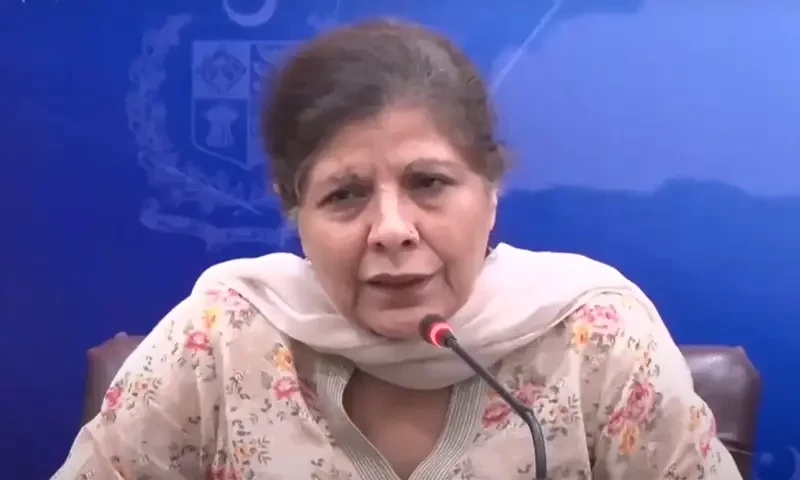 Finance minister says rupee stable to &lsquo;great extent&rsquo; after anti-smuggling efforts