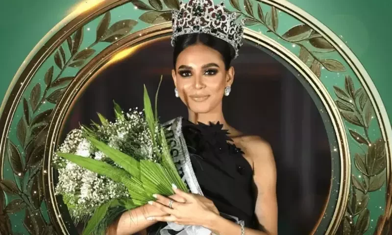 Erica Robin becomes &lsquo;Miss Universe Pakistan&rsquo;, sans govt nomination