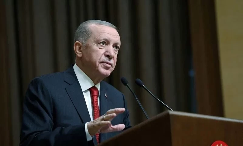 Turkey could part ways with EU if necessary, Erdogan says